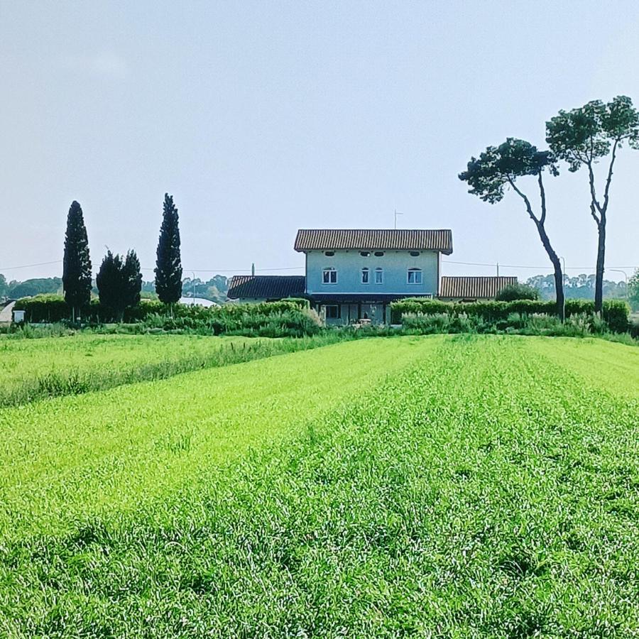 La Ricarda Dimora Di Campagna Bed and Breakfast Paestum Eksteriør billede