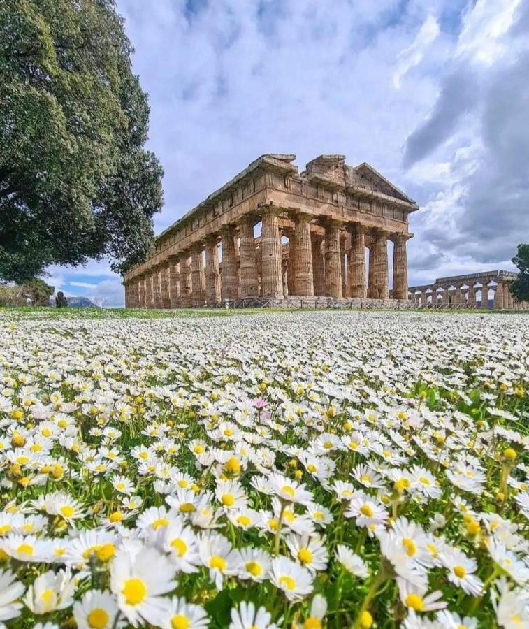 La Ricarda Dimora Di Campagna Bed and Breakfast Paestum Eksteriør billede