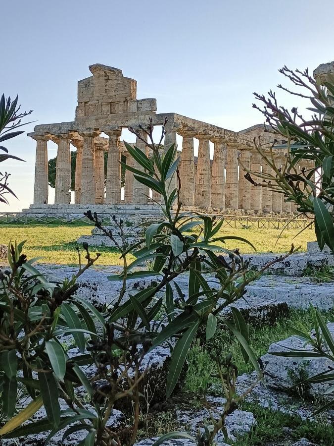 La Ricarda Dimora Di Campagna Bed and Breakfast Paestum Eksteriør billede